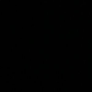 Meet your Posher, Hana